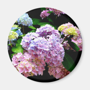 Aimant Hydrangea garden, rose, bleu, purple floral