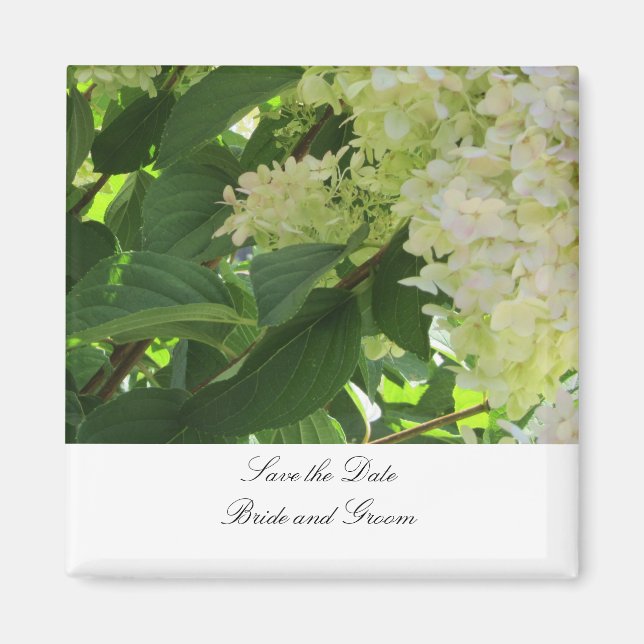 Aimant Hydrangeas Blancs Sauvegarder la Date (Devant)