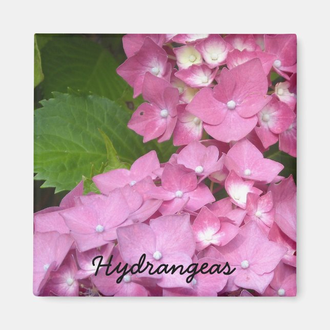 Aimant Hydrangeas roses (Devant)