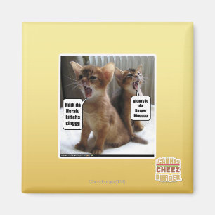Aimant Hymnes de louange de Kitteh