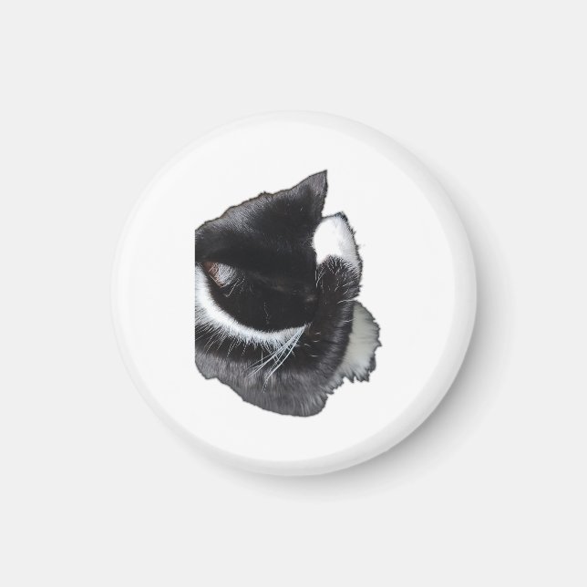 Aimant I Can't Even Right Meow (Devant)