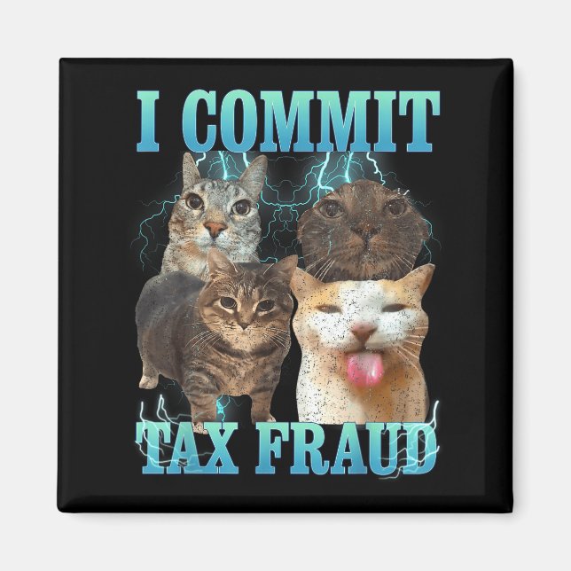 Aimant I Commit Tax Fraud Funny Cat Meme Bootleg Graphic  (Devant)