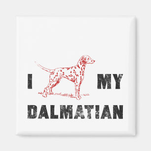 Aimant I Dalmatien ma dalmate
