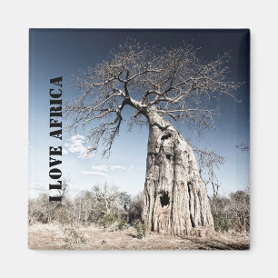 Aimant I love Africa Baobab Tree photo