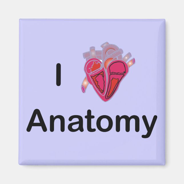 Aimant I Love Anatomy with human heart! (Devant)