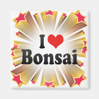 Aimant I Love Bonsai