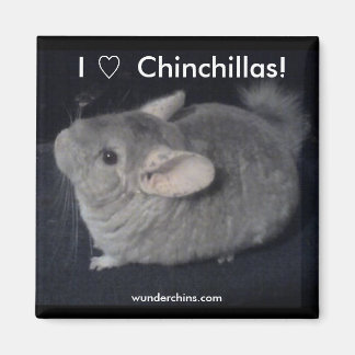 Aimant I Love Chinchillas