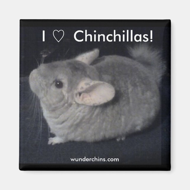 Aimant I Love Chinchillas (Devant)