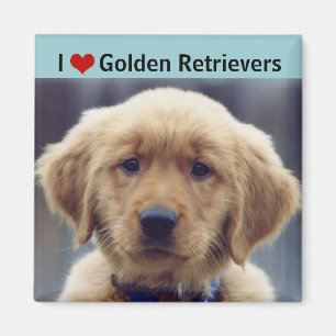 Aimant I Love Golden Retrievers mignon chiot