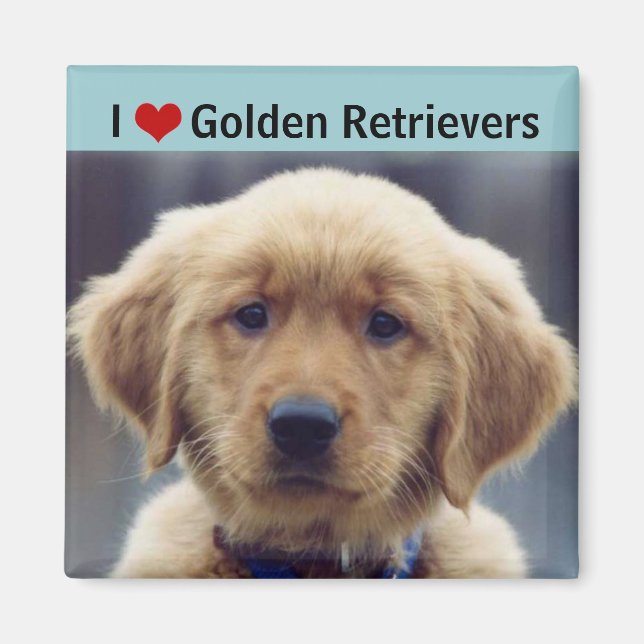 Aimant I Love Golden Retrievers mignon chiot (Devant)