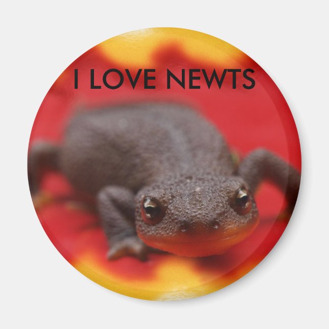 Aimant I Love Newts (Devant)