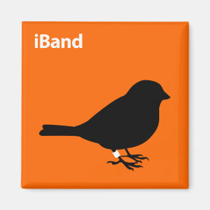 Aimant iBand