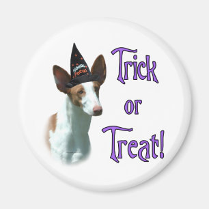 Aimant Ibizan Hound Trick