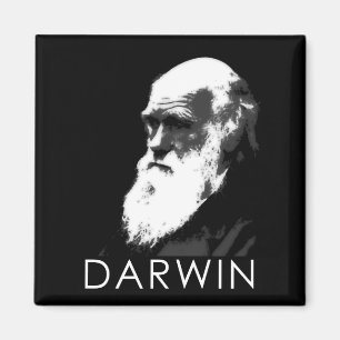 Aimant Icônes de la science : Darwin