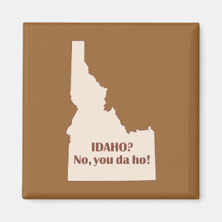 Aimant Idaho