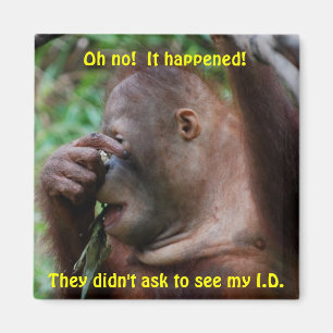 Aimant Identification