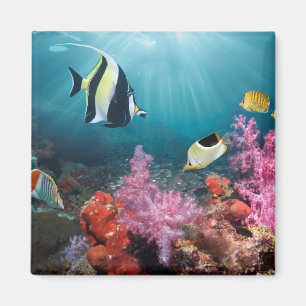 Aimant Idole maure du paysage   de récif coralien