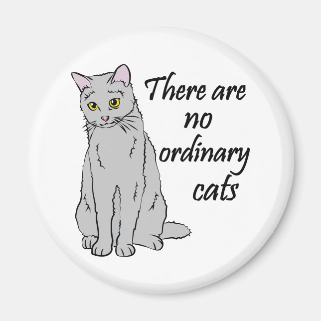 Aimant Il N'Y A Pas De Chats Ordinaires (Devant)