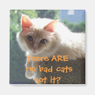 Aimant Il n'y a pas de mauvais chats... Vous l'avez compr