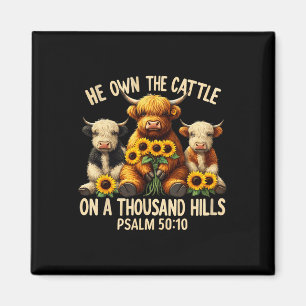 Aimant Il Possède Le Béton Sur Une Huit Hills Bible Highl