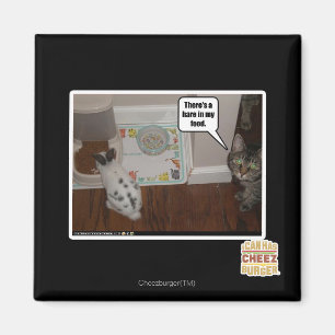 Aimant Il y a des lièvres en ma nourriture