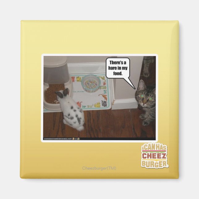 Aimant Il y a un lièvre dans ma nourriture. (Devant)