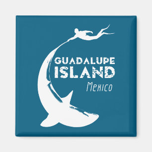 Aimant Île de Guadalupe Mexique   Plongée avec requins