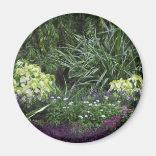 Aimant Îles de Grand Cayman