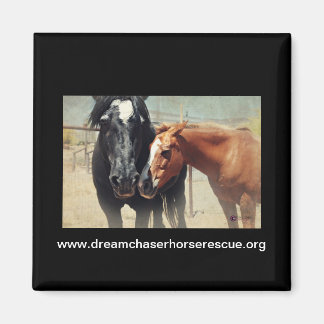 Aimant Illusion et ruée