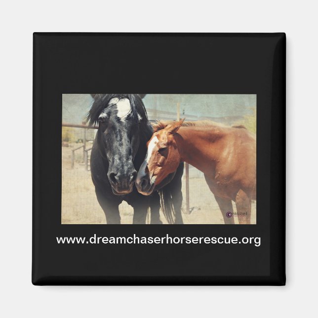 Aimant Illusion et ruée (Devant)