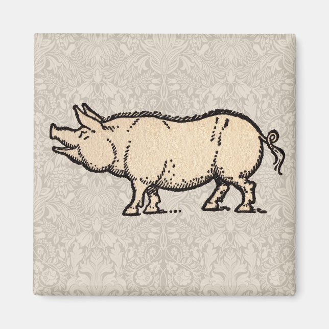 Aimant Illustration de cochon antique mignon vintage (Devant)