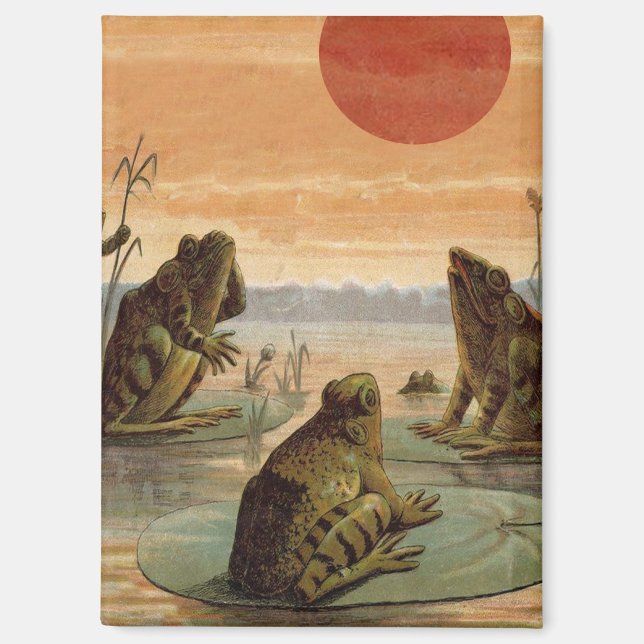 Aimant Illustration de grenouilles sur nénuphars sous la  (Recto)