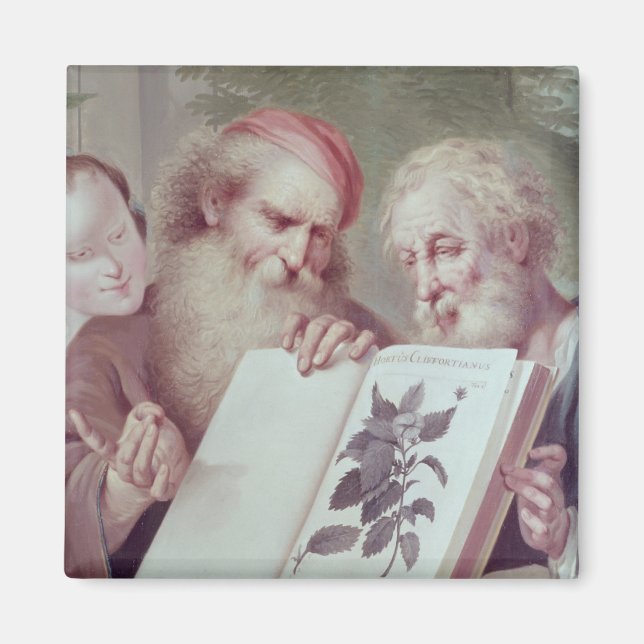 Aimant Illustration de Hortus Cliffortianus (Devant)