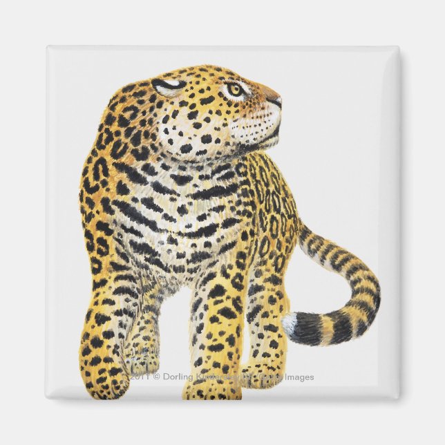 Aimant Illustration de Jaguar avec tête en profil (Devant)