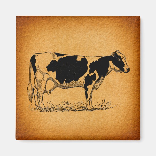 Aimant Illustration de l'ancienne ferme de vache Holstein (Devant)