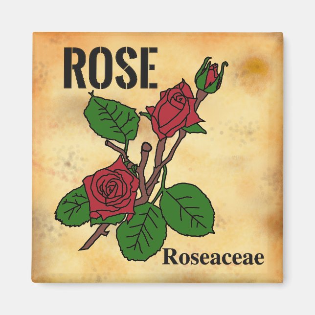 Aimant Illustration de ligne de rose rouge dans le style  (Devant)