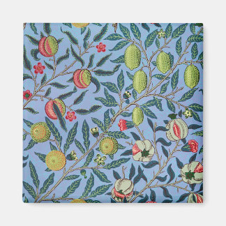 Aimant Illustration de l'organisme de grenade à fruits vi