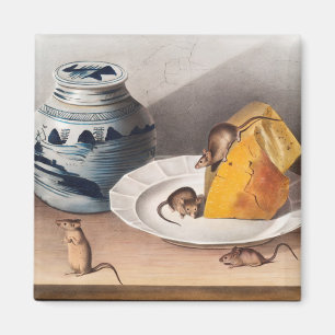 Aimant Illustration de souris (Mus-musculus)