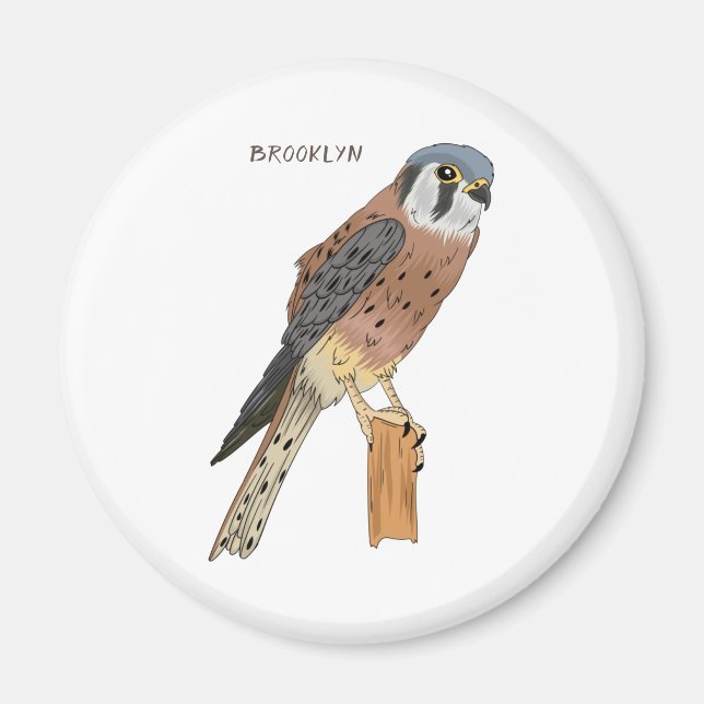 Aimant Illustration d'oiseau américain Kestrel (Devant)