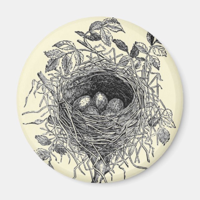 Aimant Illustration du nid d'oiseaux vintage (Devant)