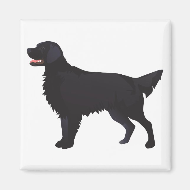 Aimant Illustration Flat-Coated Retriever Dog Breed (Devant)