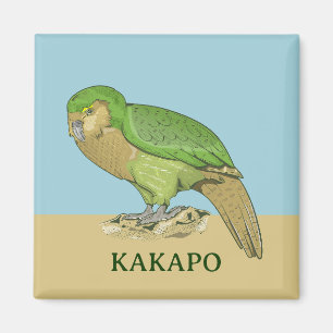 Aimant Illustration Kakapo