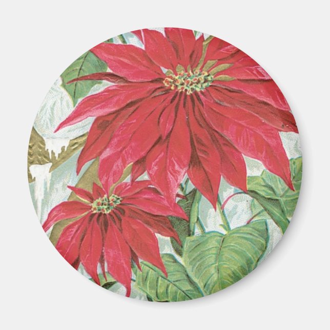 Aimant Illustration Poinsettia vintage. (Devant)