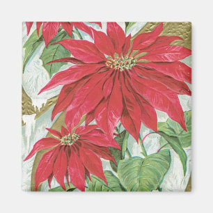 Aimant Illustration Poinsettia vintage.