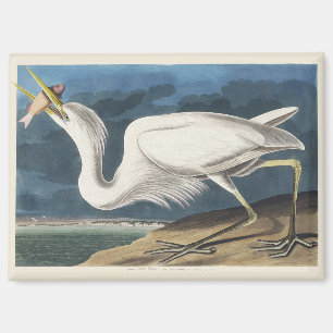Aimant Illustration vintage d'Audubon du Grand Héron Blan