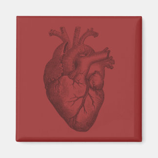 Aimant Illustration vintage du coeur