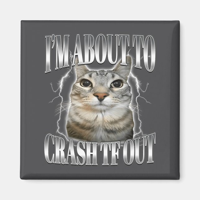 Aimant I'm About To Crash Out Funny Staring Cat Brainrot  (Devant)