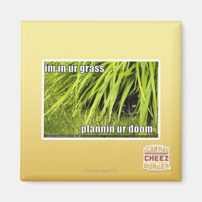 Aimant im dans l'herbe (Devant)