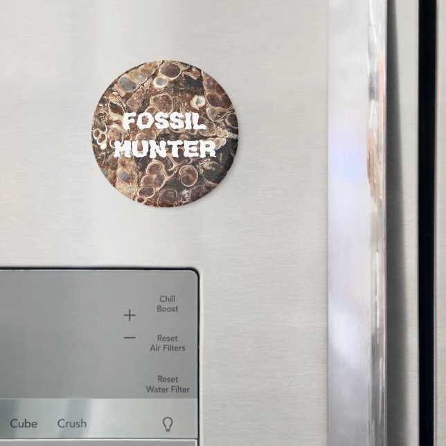 Aimant Image d'agate de Turritella, chasseur de fossiles (In situ (réfrigérateur))