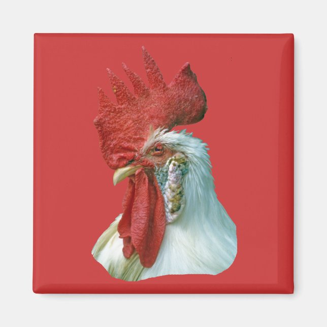Aimant Image du Rooster (Devant)